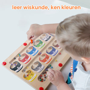 Magnetisch kleuren- en getallendoolhof