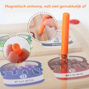 Magnetisch kleuren- en getallendoolhof