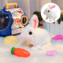 Afbeelding in Gallery-weergave laden, Bunny Toys Educatief interactief speelgoed
